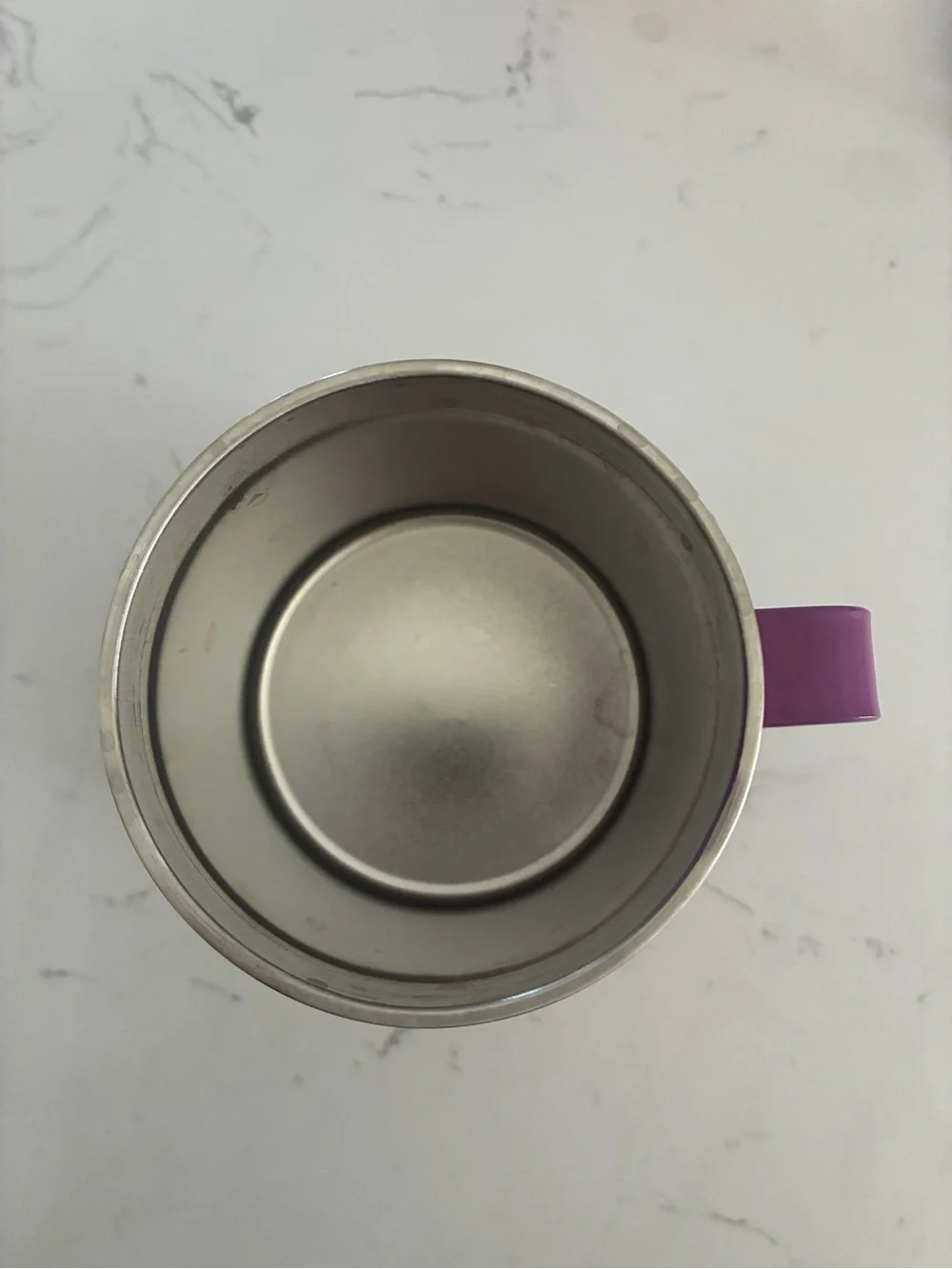 Hocus Pocus Purple Stainless Steel Insulated Mug with Lid 14 oz